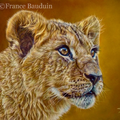 Lion cub portrait - 35.5 hours
Brown Pastelmat
9.5" x 13.5"
Ref: My own photo Lion cub portrait - 35.5 hours
Brown Pastelmat
9.5" x 13.5"
Ref: My own photo